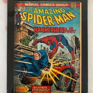 The Amazing Spiderman Graphic Art